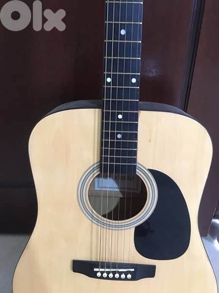 Karl Schneider acoustic guitar 0