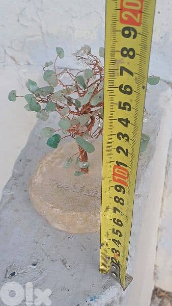 antique 10