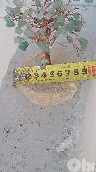 antique 11