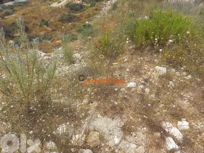 Land for sale in hboub _ jbeil ارض للبيع في حبوب -جبيلCPJRK202