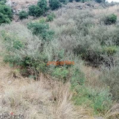 Amazing land for sale in hboub-Jbeilارض رائعة للبيع في حبوب CPJRK208
