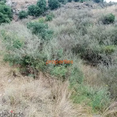 Amazing land for sale in hboub-Jbeilارض رائعة للبيع في حبوب CPJRK208