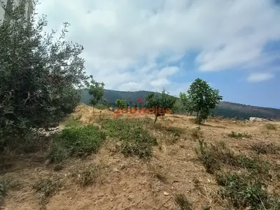 Land For Sale in Braij Jbeil ارض للبيع في بريج جبيلCPJRK215
