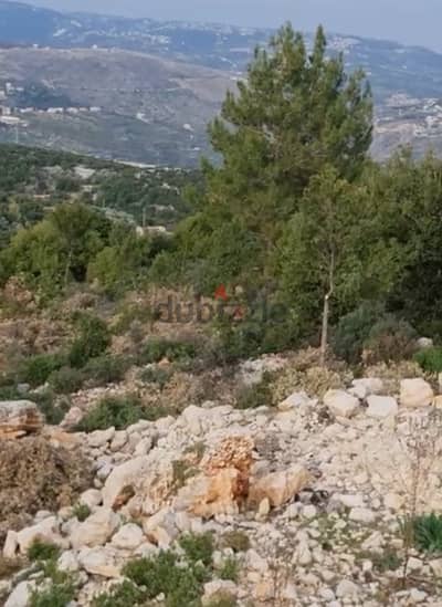 Land for Sale in Deir Bella أرض في دير بلّا للبيع