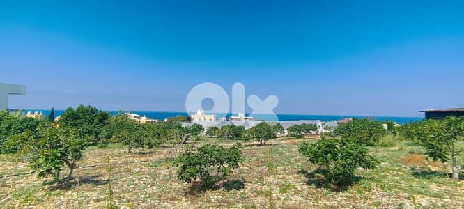 L15284-Land for Rent in A Prime Location Kfar Aabida