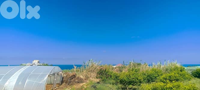 L15284-Land for Rent in A Prime Location Kfar Aabida