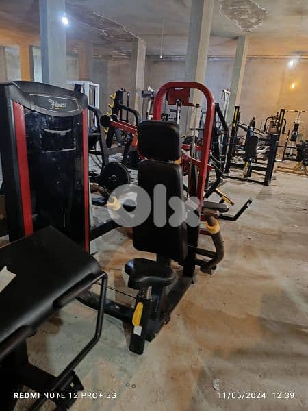 biceps and other Gym machines 03027072 GEO SPORT 1