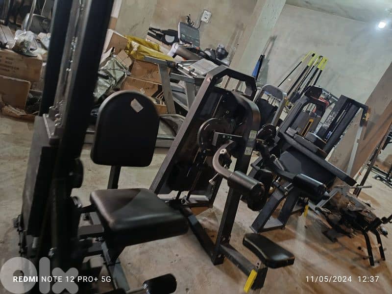 biceps and other Gym machines 03027072 GEO SPORT 5
