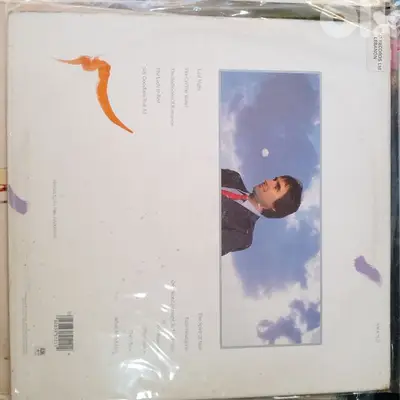Vintage Vinil Chris de Burgh