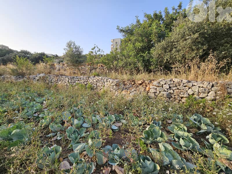 RWB149MT - Land for sale in Blat Jbeil 0
