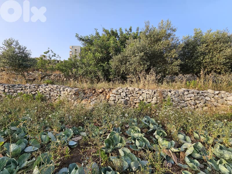 RWB149MT - Land for sale in Blat Jbeil 2