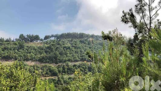 Land In Maysraah For Sale | Amazing Open View | أرض للبيع | PLS 26028