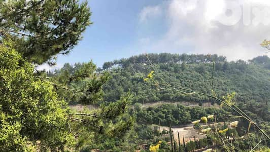 Land In Maysraah For Sale | Amazing Open View | أرض للبيع | PLS 26028