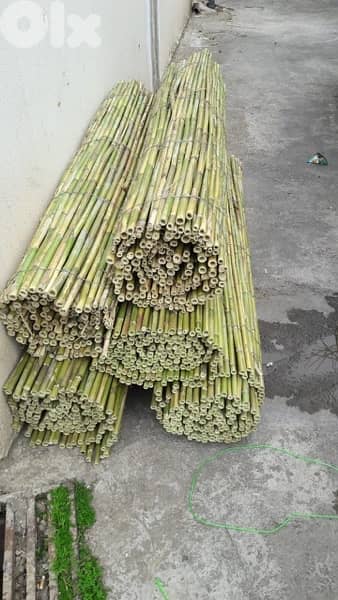 قصب للخيم و للزينة في بيروت). SPECIAL PRICE !!bamboo rolls in beirut 5