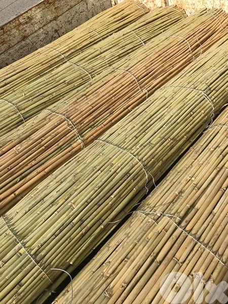 قصب للخيم و للزينة في بيروت). SPECIAL PRICE !!bamboo rolls in beirut 6