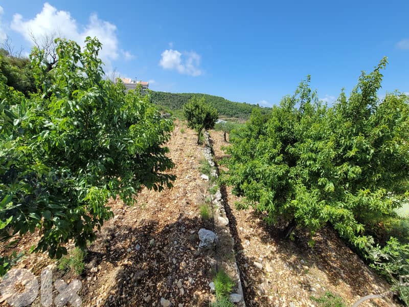 RWB253CA - Land for sale in Bentael Jbeil 0