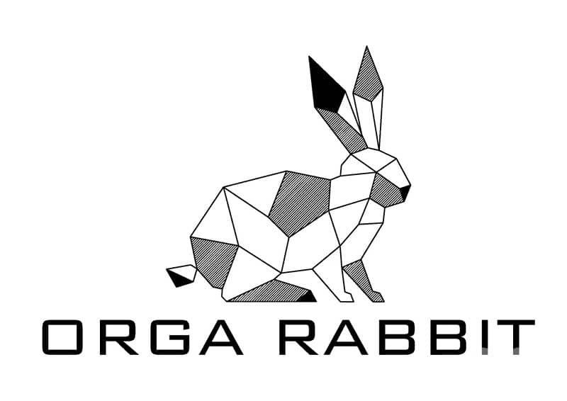 ORGA RABBIT/lion head للبيع ارانب كاليفورنيا و راس الاسد 0
