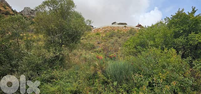 RWK217GZ - Land For Sale In Faraya - أرض للبيع في فاريا