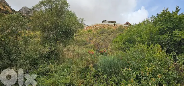 RWK217GZ - Land For Sale In Faraya - أرض للبيع في فاريا