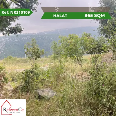 Prime location land in halat أرض بموقع متميز في حالات