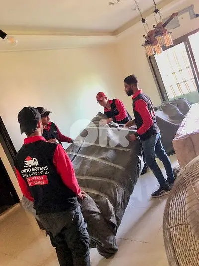 auto amro movers