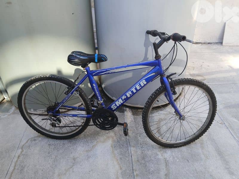 smarter bike 1