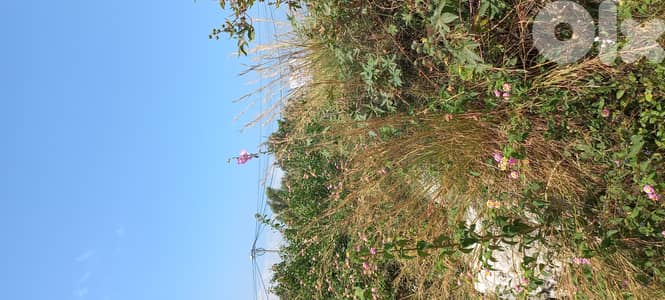 Prime Location Land in Dbayeh for Sale أرض بموقع متميز في ضبية للبيع Prime Location Land in Dbayeh for Sale أرض بموقع متميز في ضبية للبيع