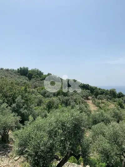 Land For Sale | Fghal | أرض للبيع | جبيل | REF:RGKS293