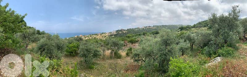 Land For Sale | Fghal | أرض للبيع | جبيل | REF:RGKS293