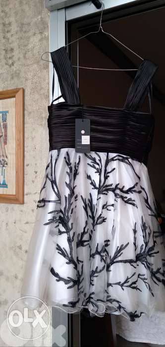 Short dress 1