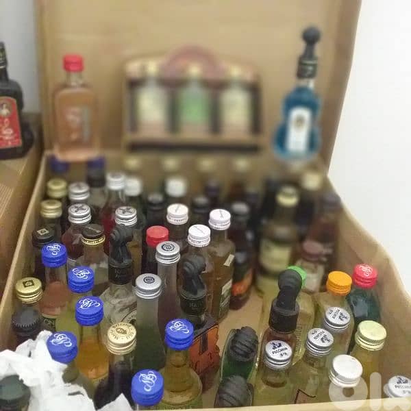 Miniature Bottles 2