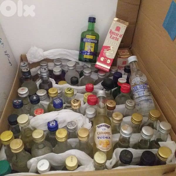 Miniature Bottles 3