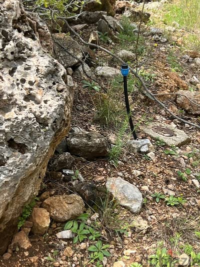 3200 Sqm | Land For Sale In Mazraet El Daher/ Chouf مزرعة الضهر