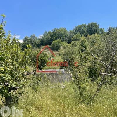 Land with house for sale in bqaatouta ارض مع بيت للبيع في بقعتوتا