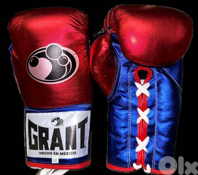 Boxing gloves 2
