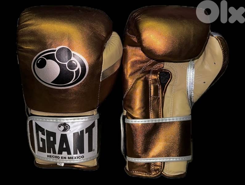 Boxing gloves 6