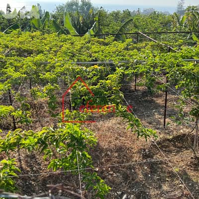 Very prime location land in Fidar أرض موقع متميز جدا في الفيدار