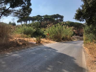 land  for rent in beit merry