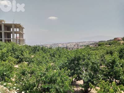 zahle wadi el arayesh land 2900 sqm for sale panoramic view Ref#5981