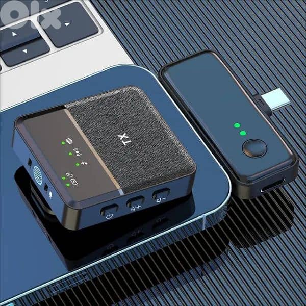 Wireless Dual Microphone SX31 1
