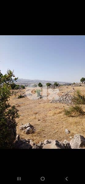 ارض للبيع في راشيا الوادي land for sale in rashaya