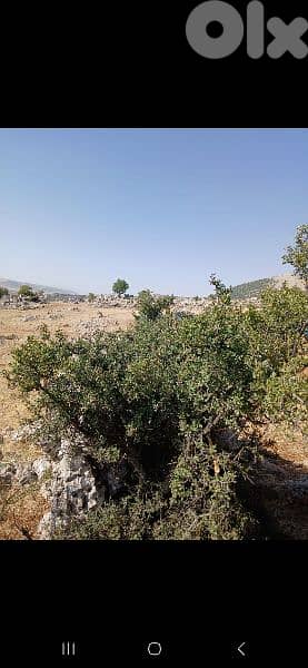 ارض للبيع في راشيا الوادي land for sale in rashaya