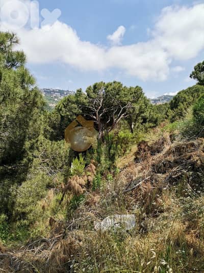 ain saadeh land 1020 sqm for sale unblock able view Ref#2756