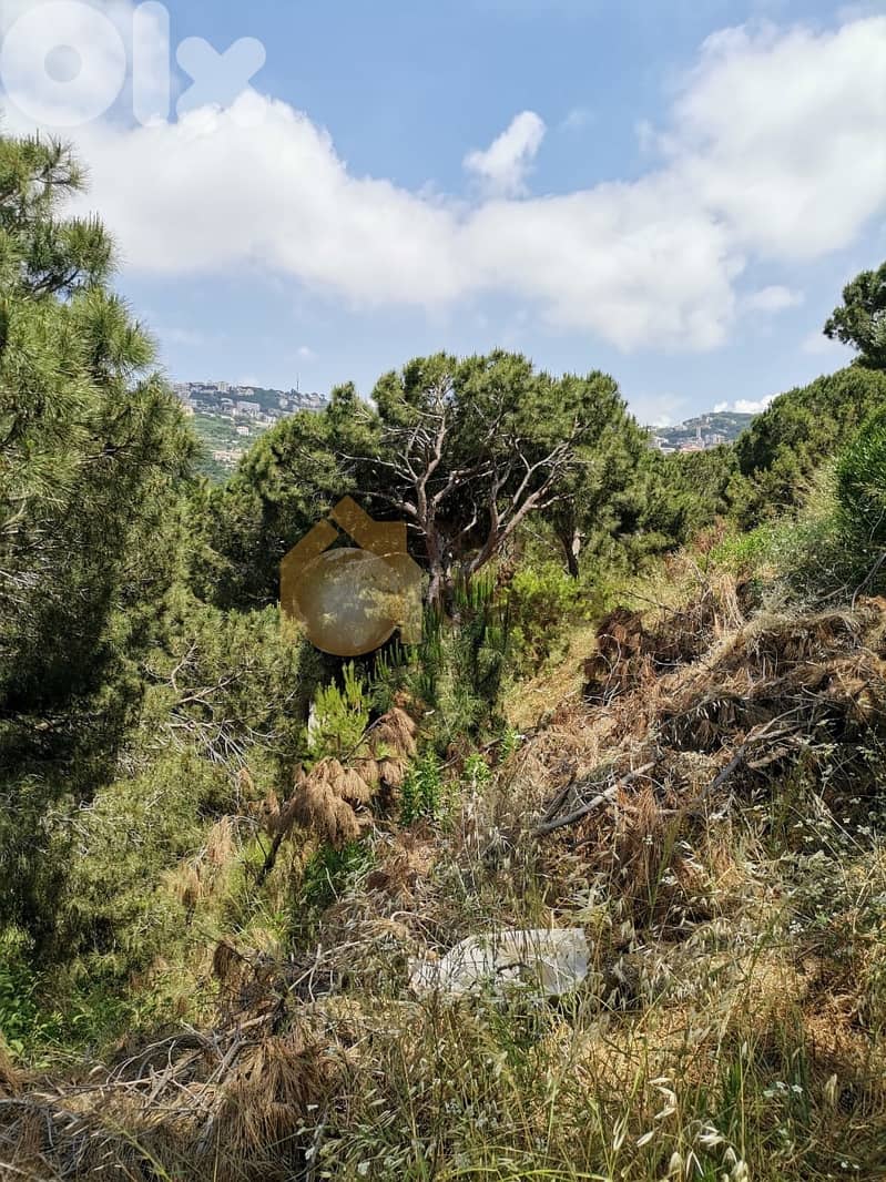 ain saadeh land 1020 sqm for sale unblock able view Ref#2756 0