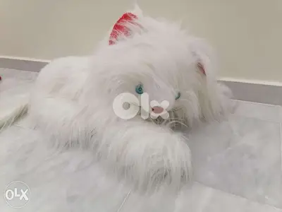 peluche cats