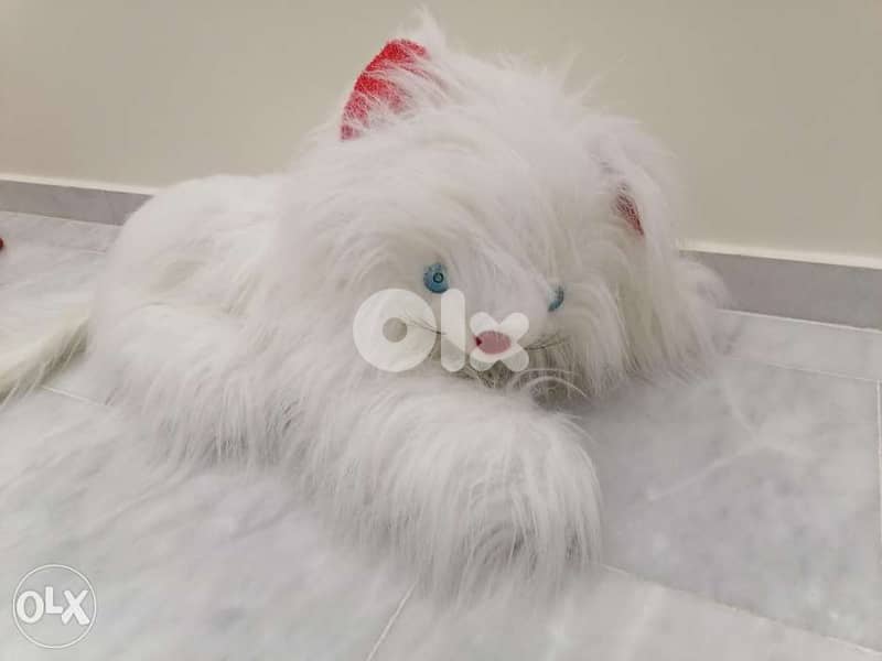 peluche cats 0