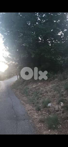 land for sale in enebet baabdet. أرض للبيع في قنابة بعبدات