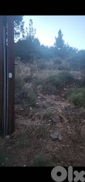 land for sale in enebet baabdet. أرض للبيع في قنابة بعبدات