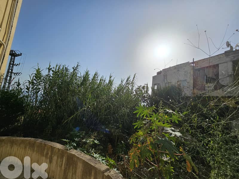 RWB315MT - Two whole buildings for sale in Jbeil 2