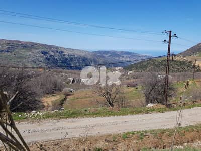 land for sale in baskinta. أرض للبيع في بسكنتا